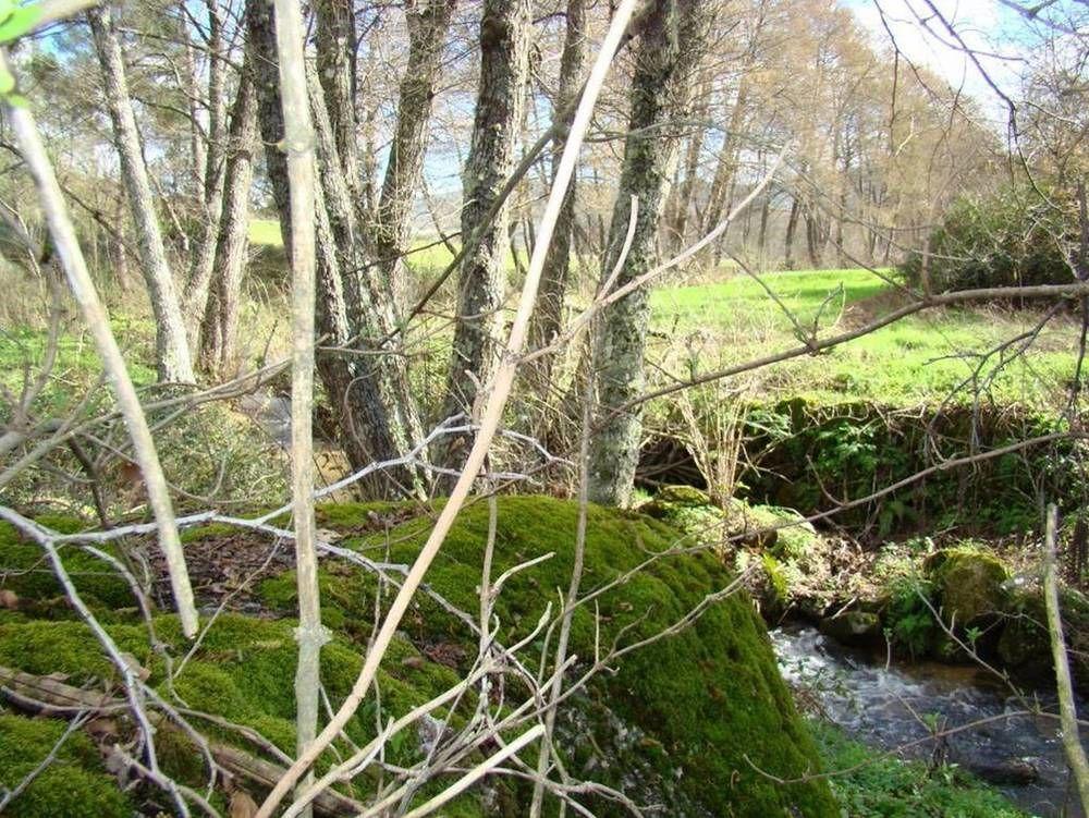 Affittacamere Quinta De Seves Covilhã Esterno foto