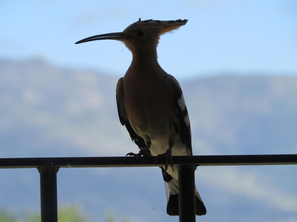 Affittacamere Quinta De Seves Covilhã Esterno foto