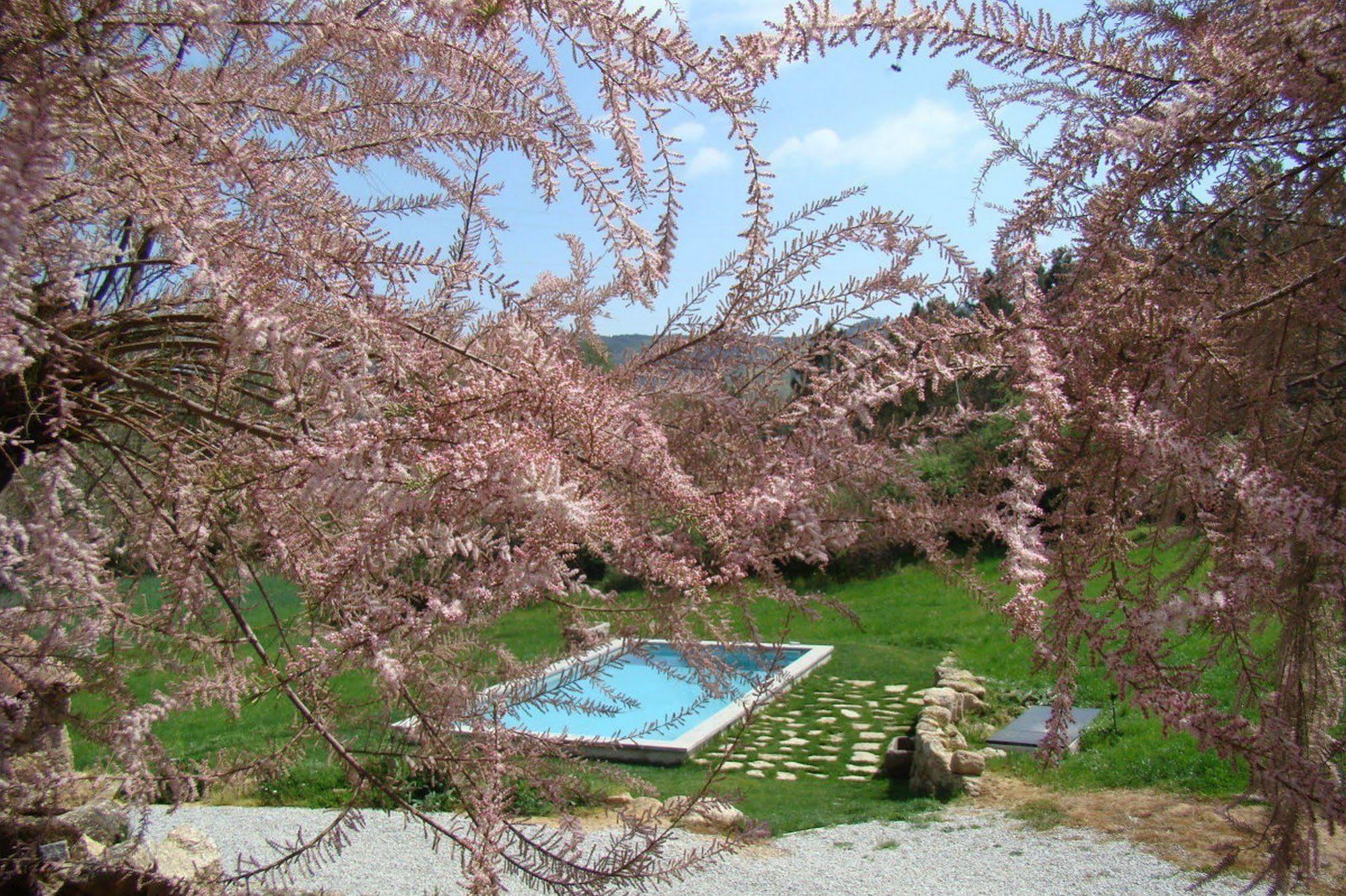 Affittacamere Quinta De Seves Covilhã Esterno foto